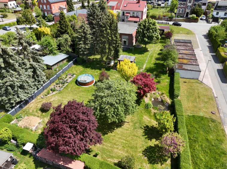 Garten (1)