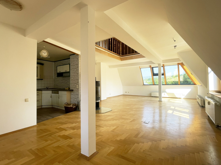 Wohnzimmer (1)