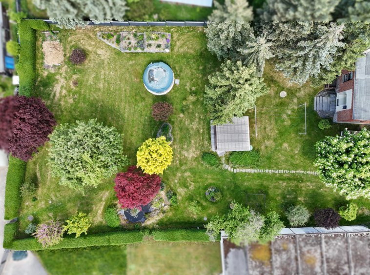 Garten (8)