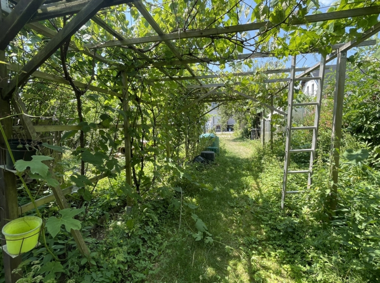 Garten (5)
