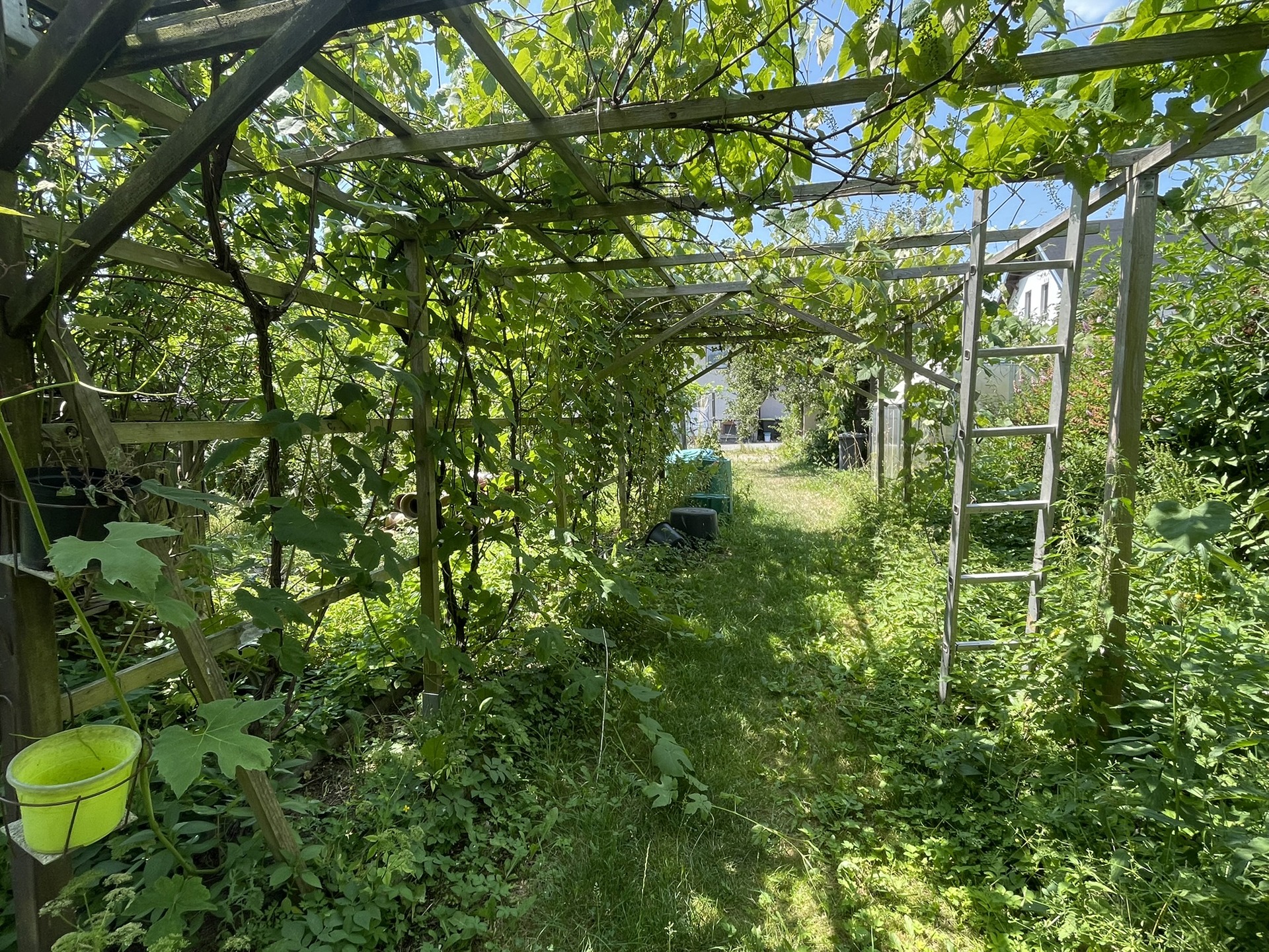Garten (5)