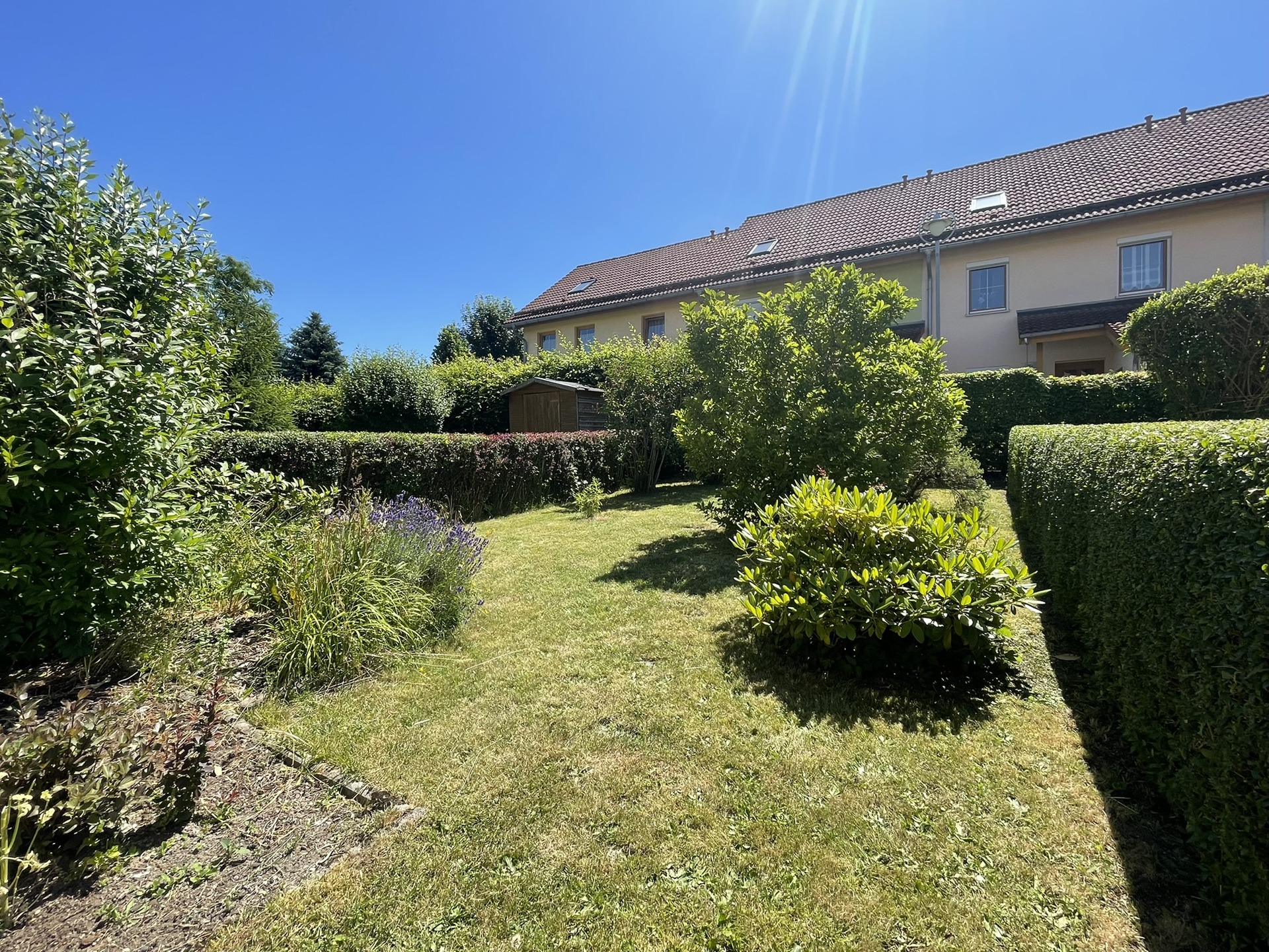 Garten (1)