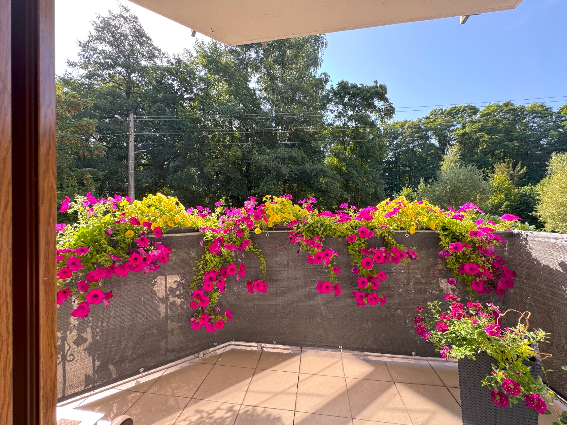 Balkon am Wohnzimmer