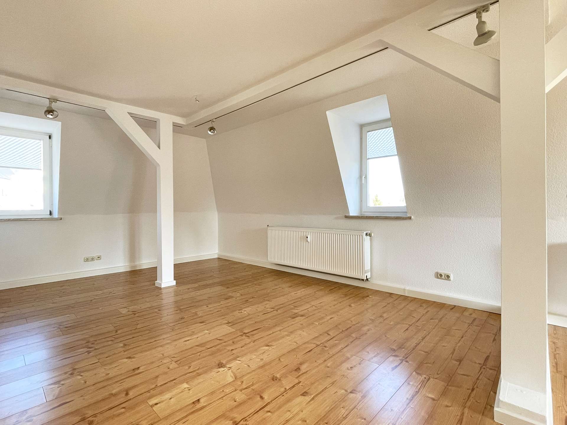 Wohnzimmer (4)