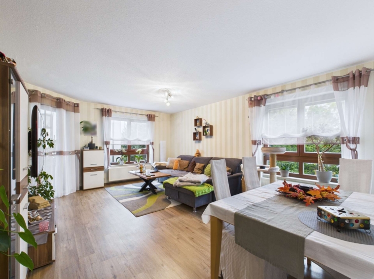 Wohnzimmer (1)