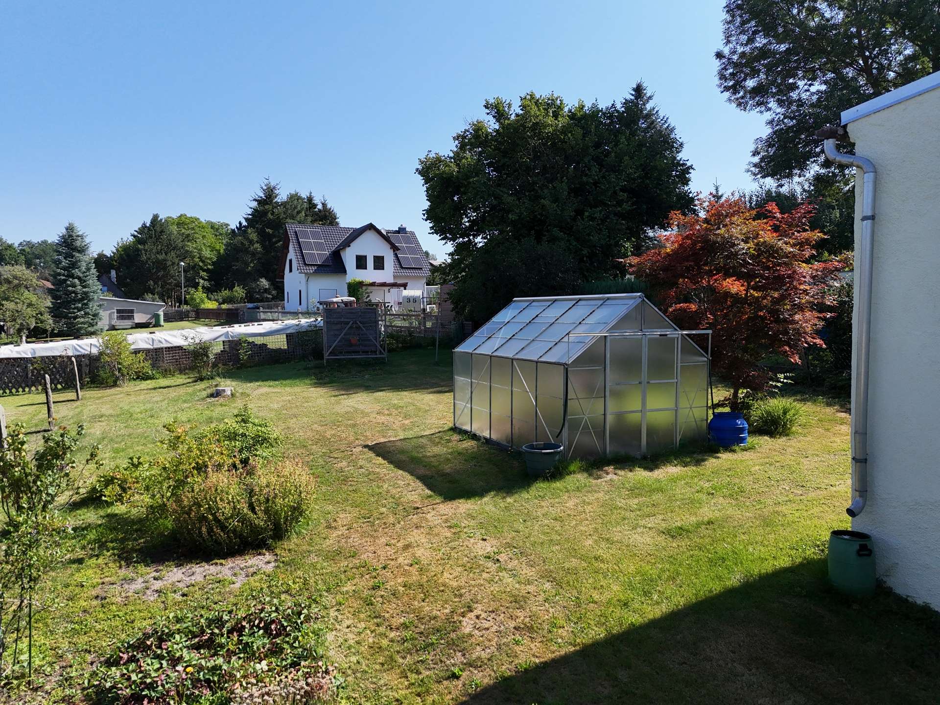 Garten (1)